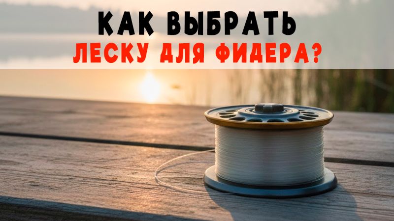 Как выбрать леску для фидера