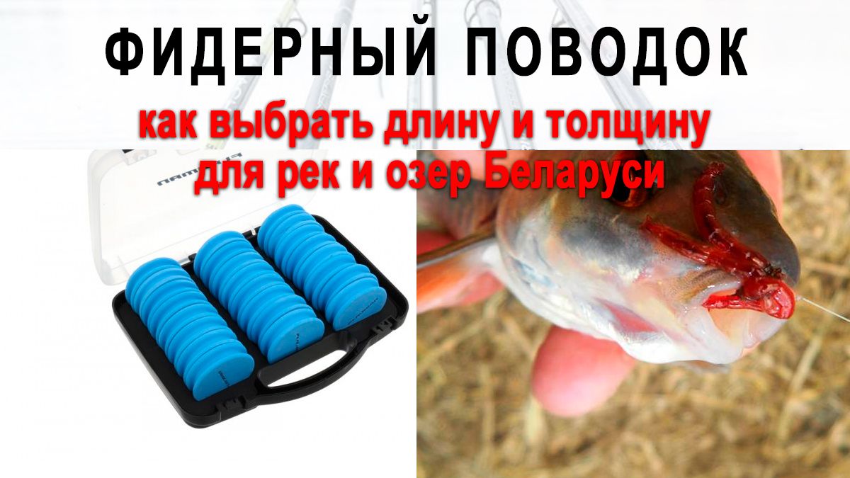 Фидерный поводок: как выбрать длину и толщину для рек и озер Беларуси