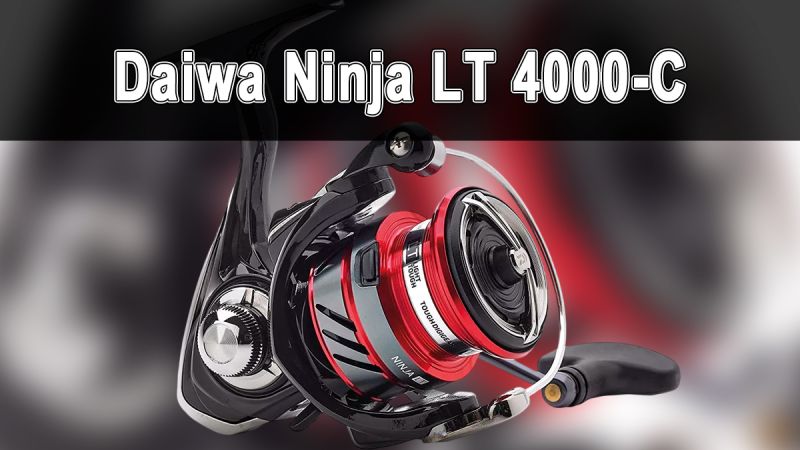 Обзор катушки Daiwa Ninja LT 4000-C