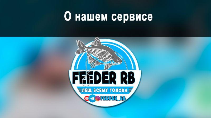 О сервисе feederrb.by