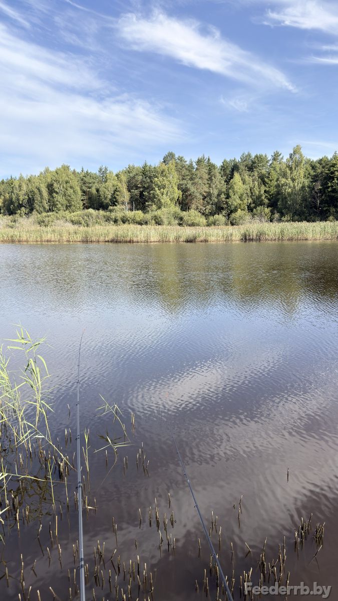 Платник возле д.Брожка