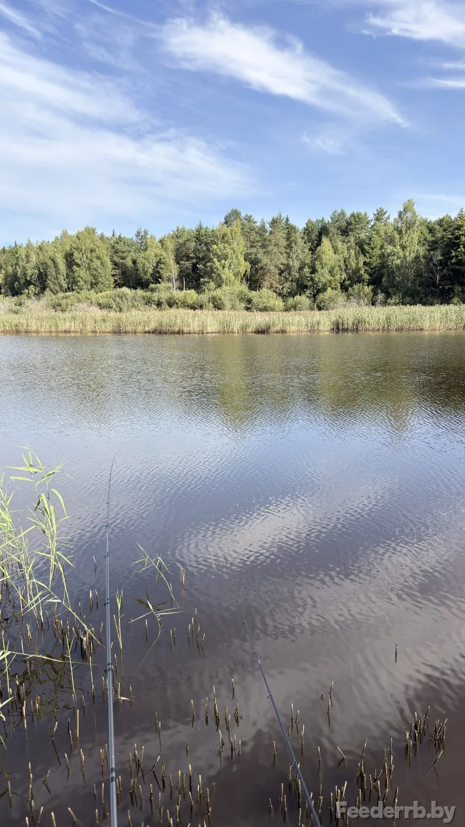 Платник возле д.Брожка
