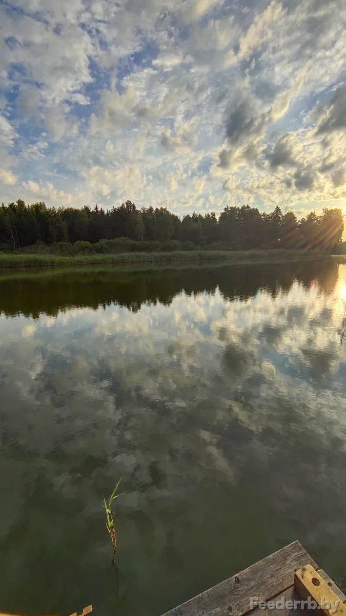 Утренние карпик на Брожке