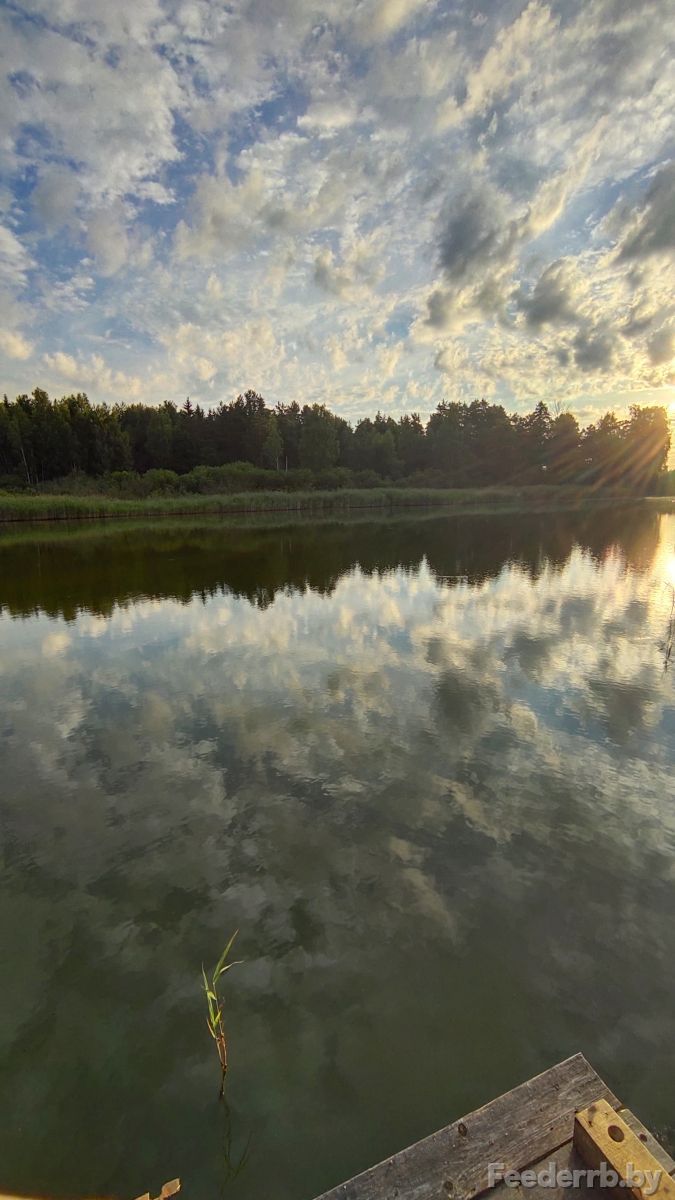 Утренние карпик на Брожке