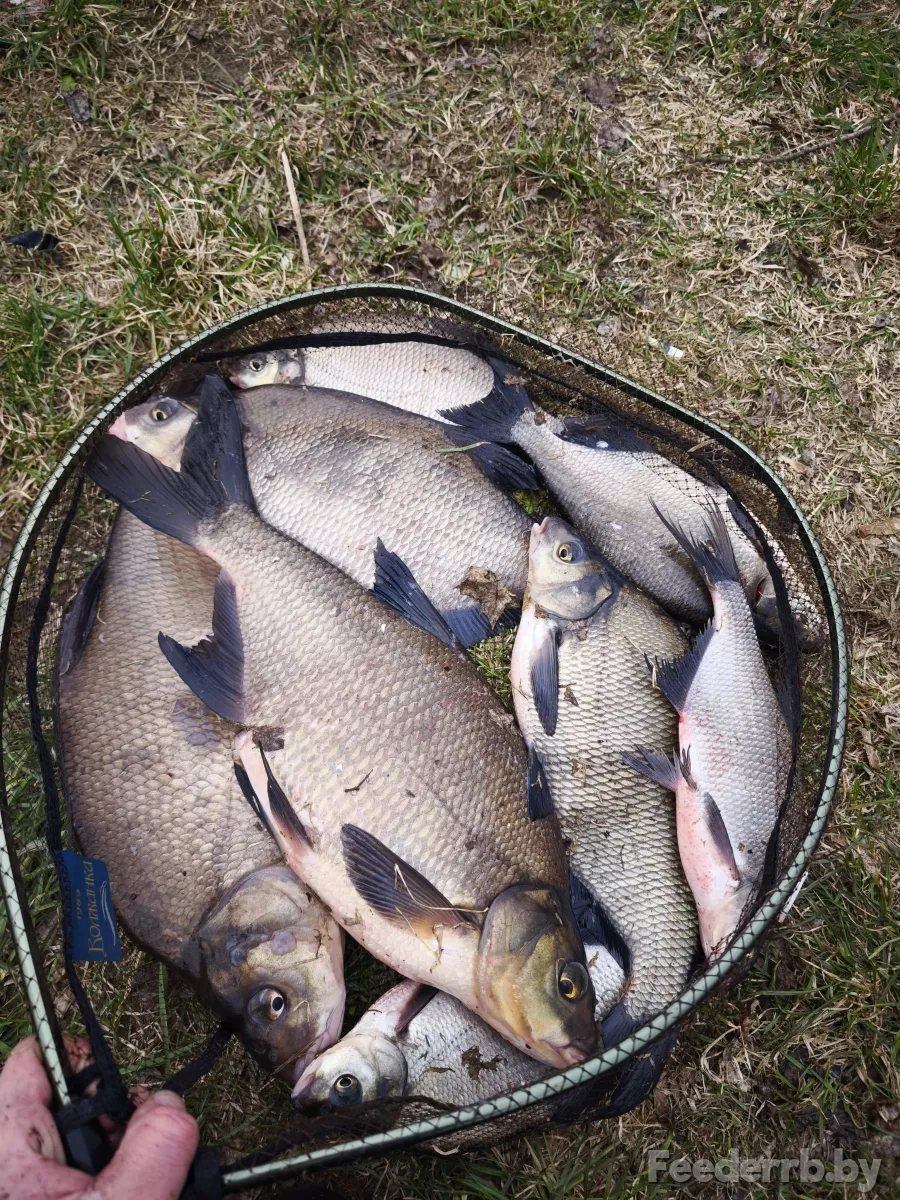 Рыбалка на Вилейском водохранилище