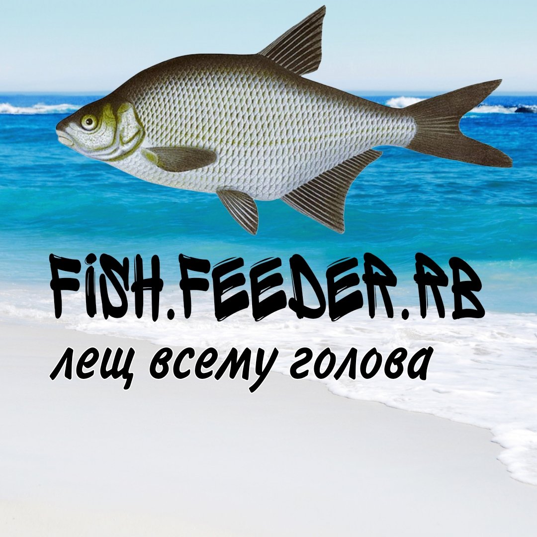 Fish feeder rb